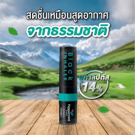 ยาดม เป๊ปเปอร์มิ้นท์ ฟิลด์ แบล็คอินเฮเลอร์ ขนาด 2 ซีซี จำนวน 120 ชิ้น_4